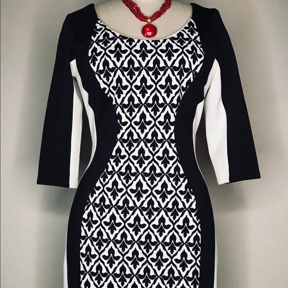 Sangria : Black and White Bodycon Dress